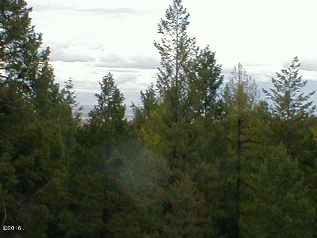 495 Buffalo Trail, Somers, MT 59932
