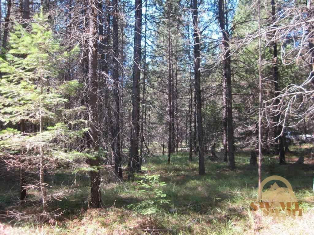TBD Old Hwy 2 N, Troy, MT 59932