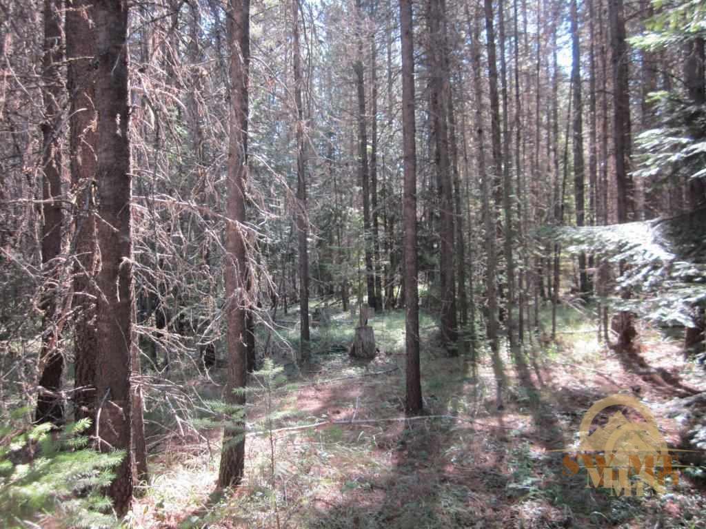 TBD Old Hwy 2 N, Troy, MT 59932