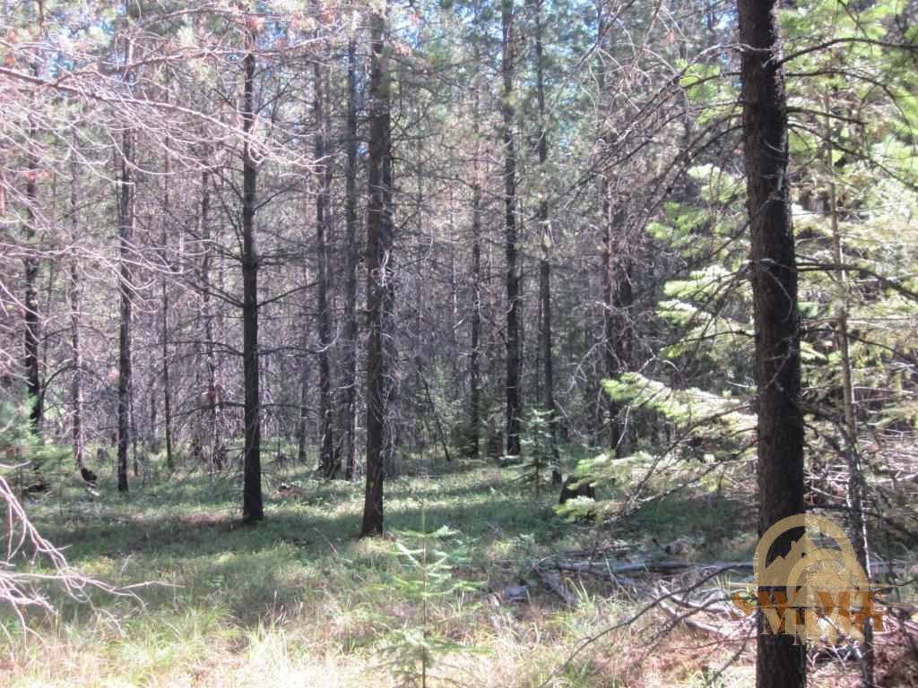 TBD Old Hwy 2 N, Troy, MT 59932