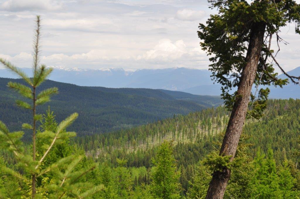 NHN Butcher Creek, Trego, Other, MT 59934