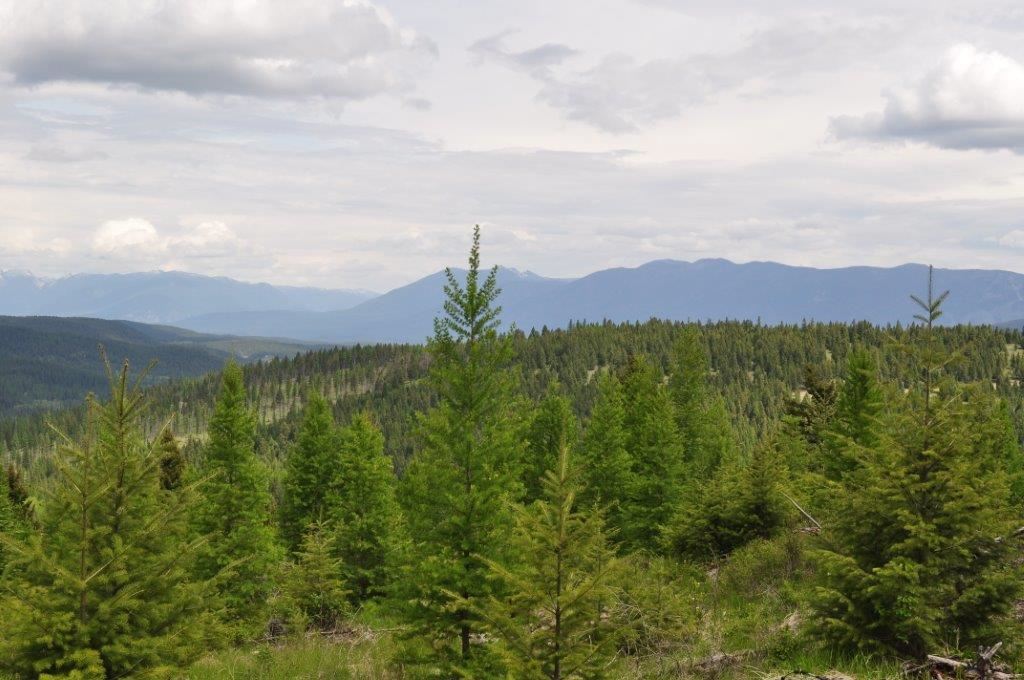 NHN Butcher Creek, Trego, Other, MT 59934