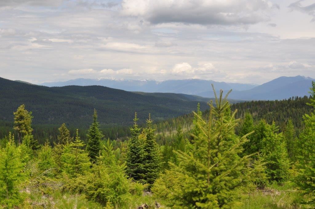 NHN Butcher Creek, Trego, Other, MT 59934