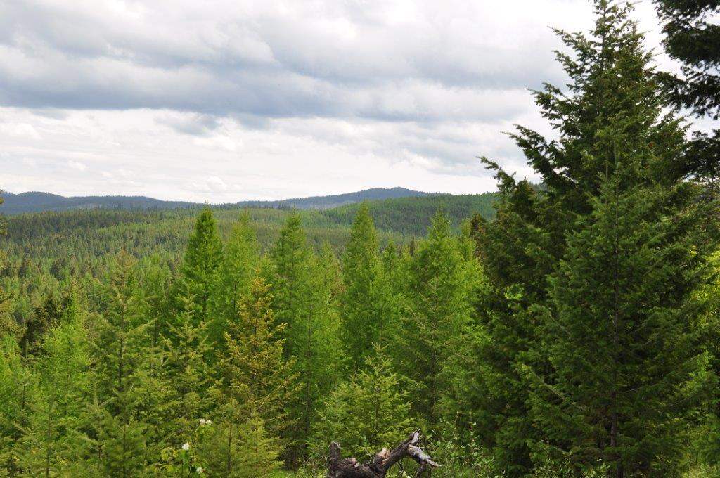 NHN Butcher Creek, Trego, Other, MT 59934