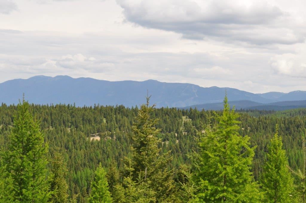 NHN Butcher Creek, Trego, Other, MT 59934