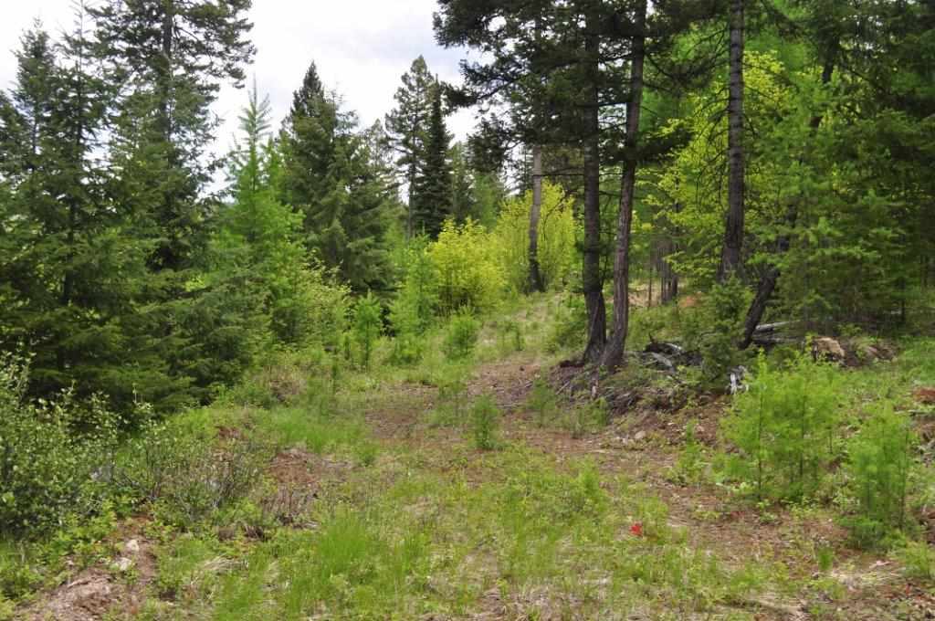 NHN Butcher Creek, Trego, Other, MT 59934