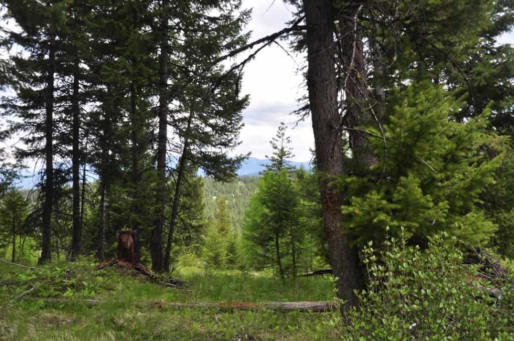 NHN Butcher Creek, Trego, Other, MT 59934