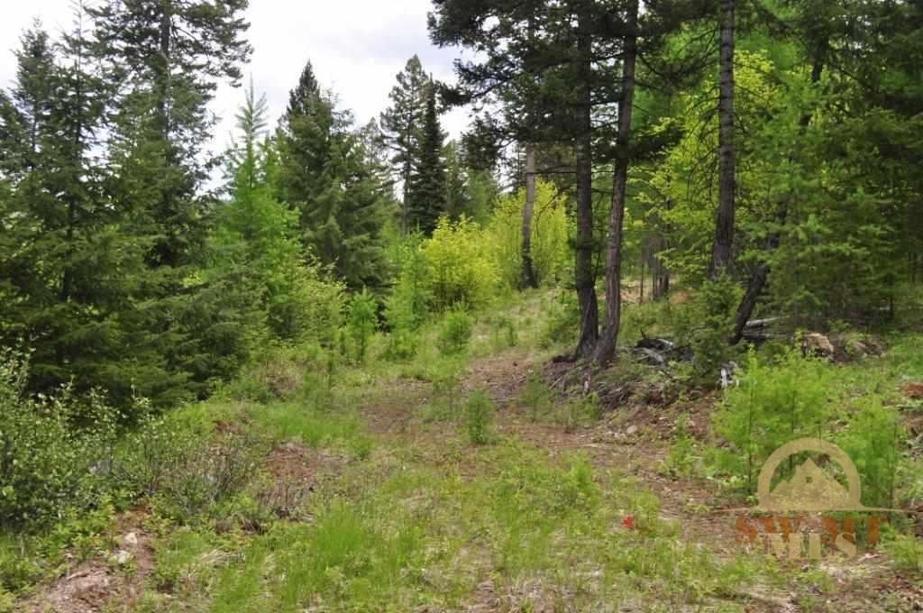 NHN Butcher Creek, Trego, Eureka, MT 59934