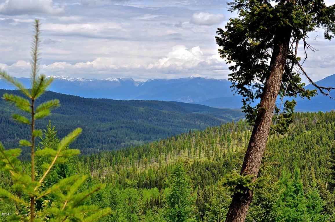 Nhn ButcherCreek Road, Trego, MT 59934