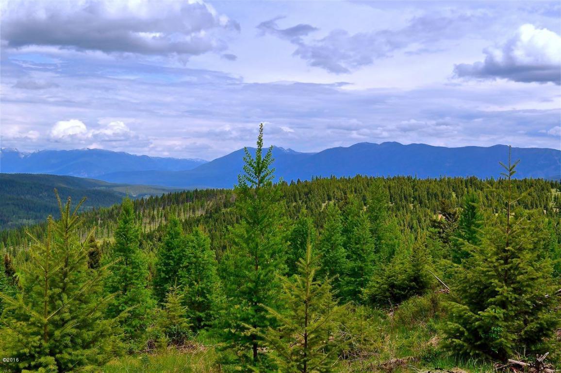 Nhn ButcherCreek Road, Trego, MT 59934