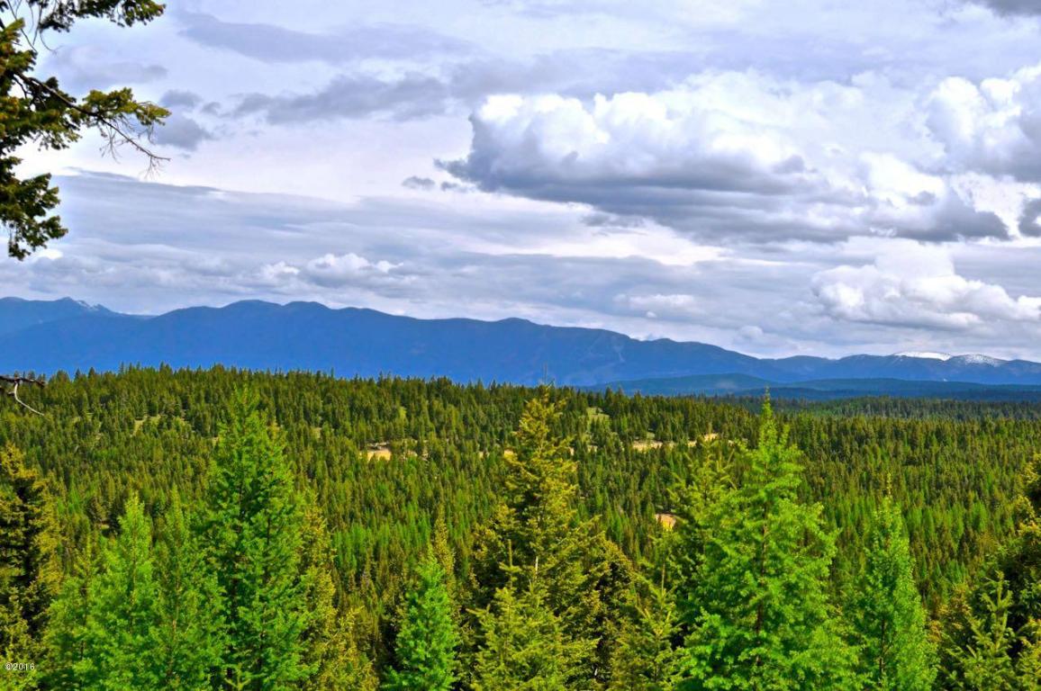 Nhn ButcherCreek Road, Trego, MT 59934
