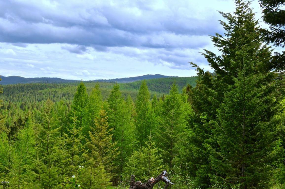 Nhn ButcherCreek Road, Trego, MT 59934