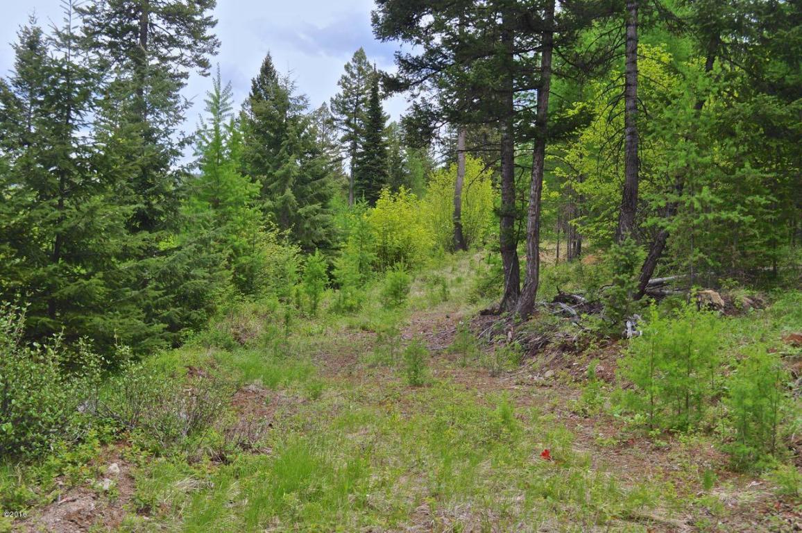 Nhn ButcherCreek Road, Trego, MT 59934