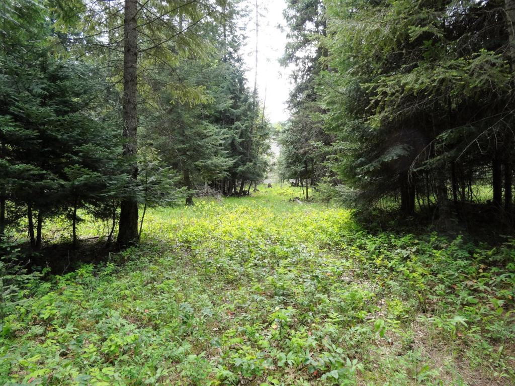 Tbd Estate Drive, Troy, MT 59935