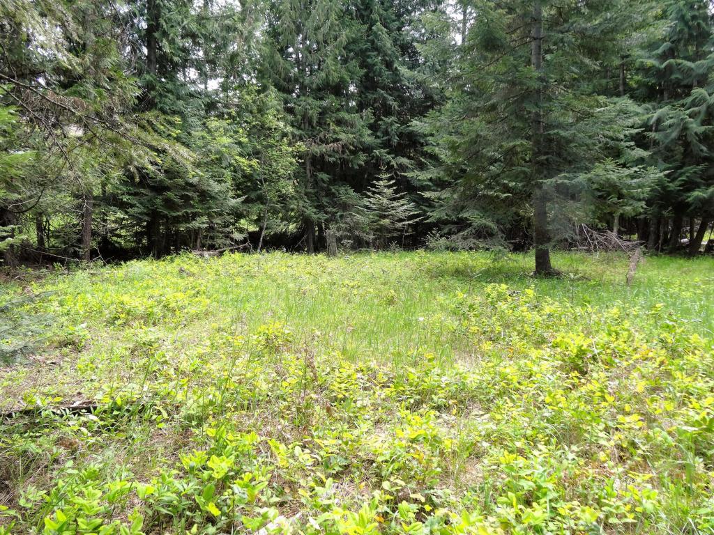 Tbd Estate Drive, Troy, MT 59935