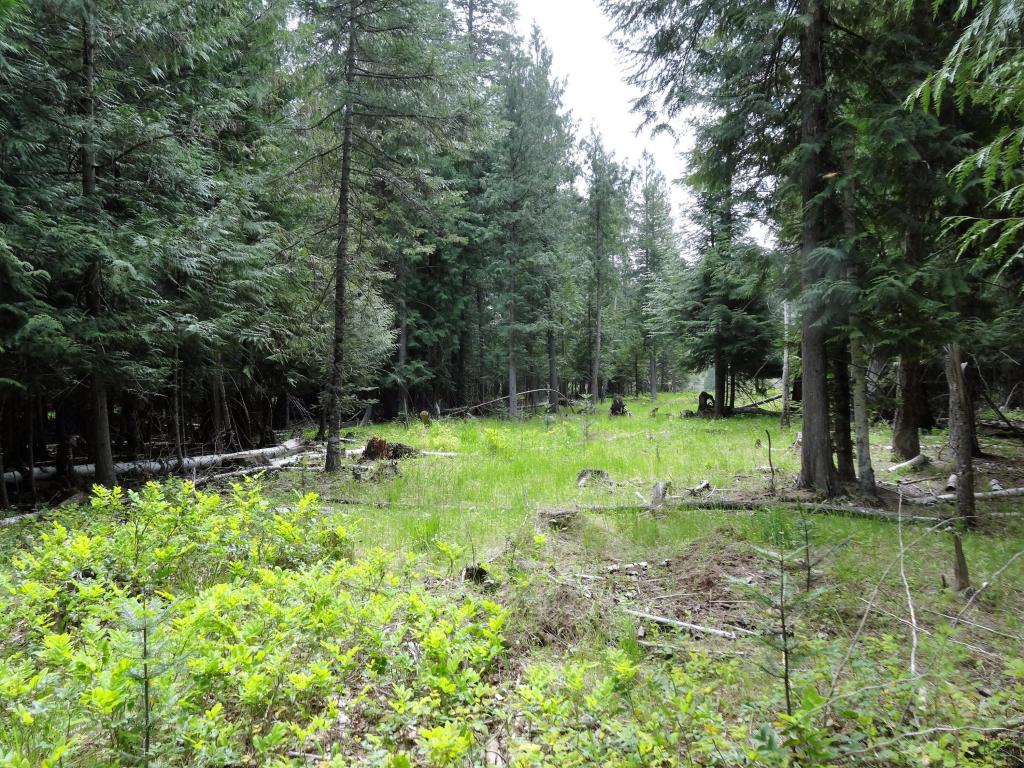 Tbd Estate Drive, Troy, MT 59935