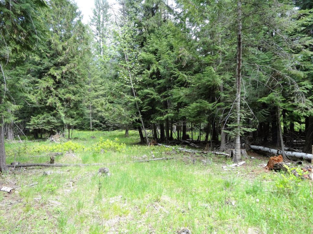 Tbd Estate Drive, Troy, MT 59935