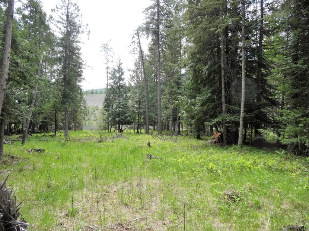 Tbd Estate Drive, Troy, MT 59935