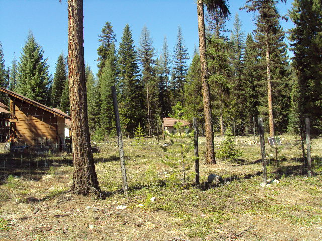 295 Elkhaven Road, Troy, MT 59935
