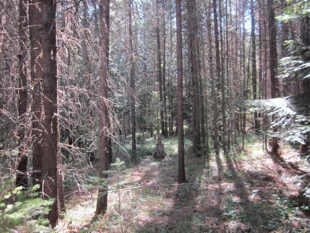 TBD Old Hwy 2 N, Troy, Other, MT 59935