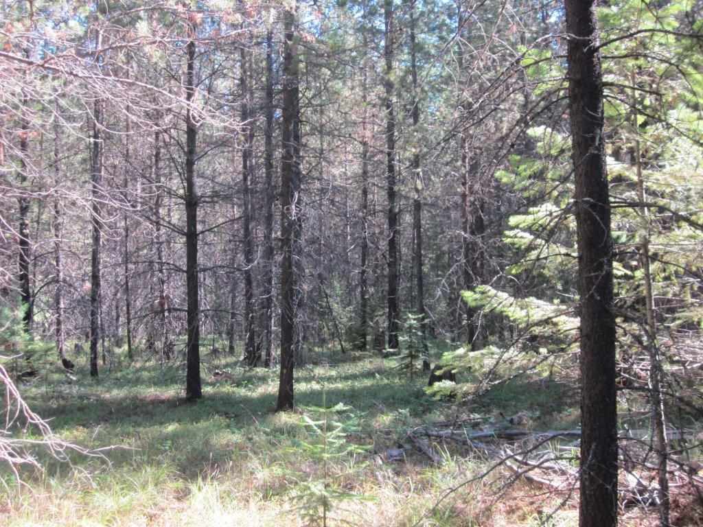 TBD Old Hwy 2 N, Troy, Other, MT 59935