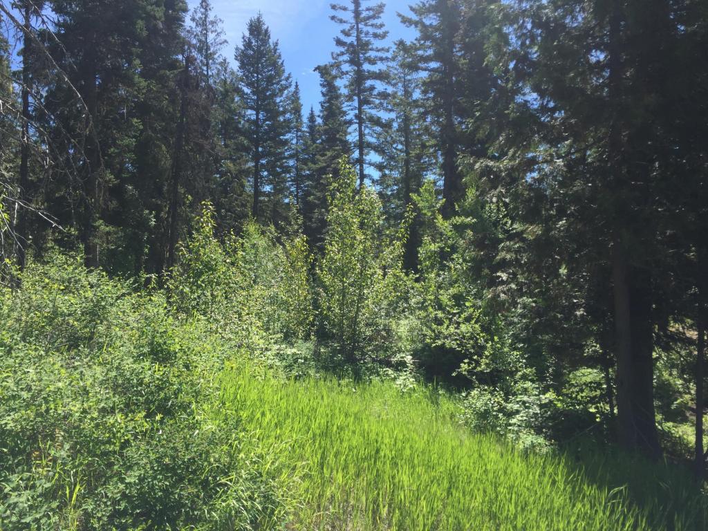 92 Woodlandstar Circle, Whitefish, MT 59937