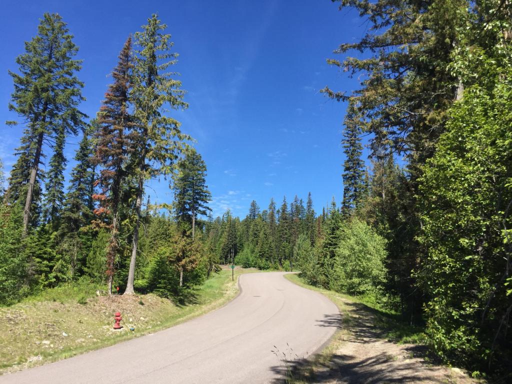92 Woodlandstar Circle, Whitefish, MT 59937