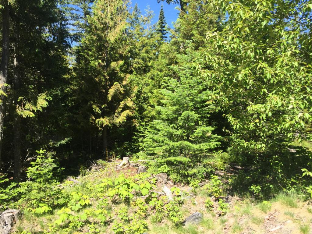 204 Woodlandstar Circle, Whitefish, MT 59937