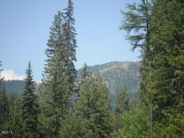 208 Woodlandstar Circle, Whitefish, MT 59937