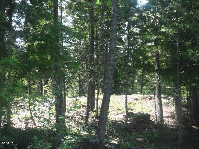 208 Woodlandstar Circle, Whitefish, MT 59937