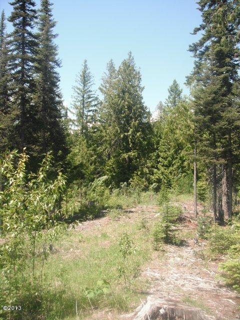 208 Woodlandstar Circle, Whitefish, MT 59937