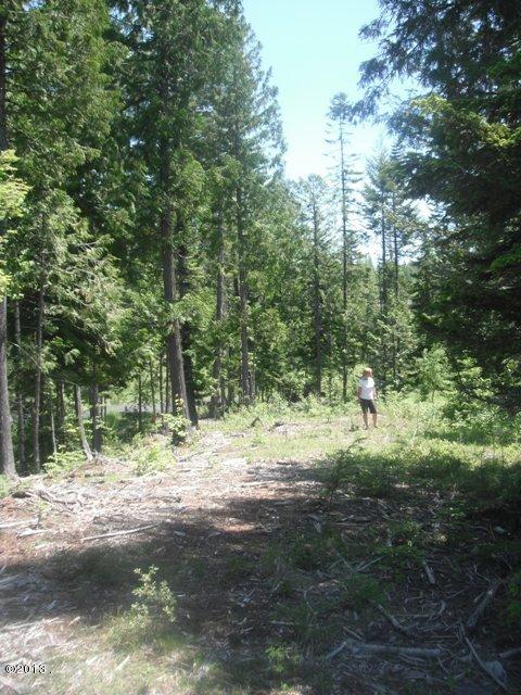 208 Woodlandstar Circle, Whitefish, MT 59937
