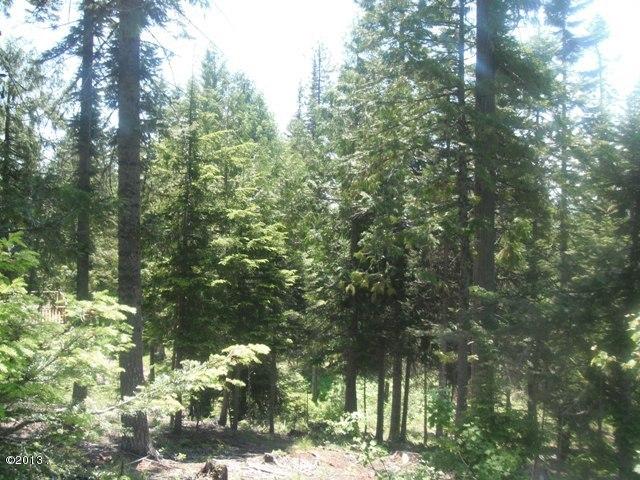 208 Woodlandstar Circle, Whitefish, MT 59937