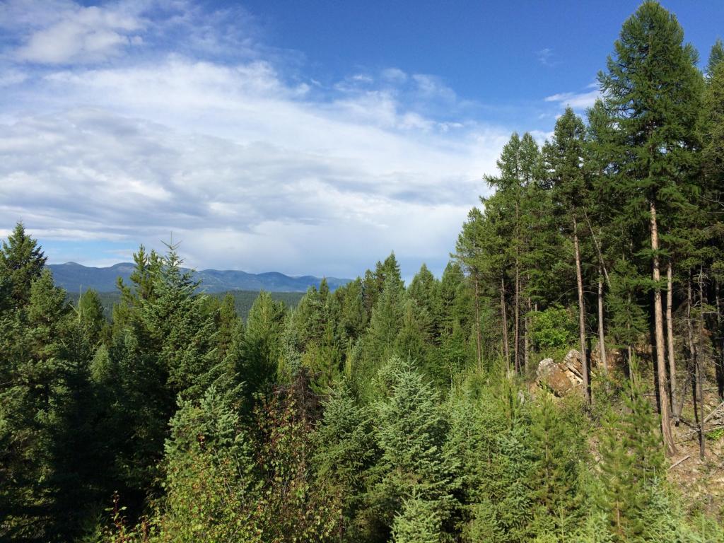 580 Bootjack Lake Road, Whitefish, MT 59937