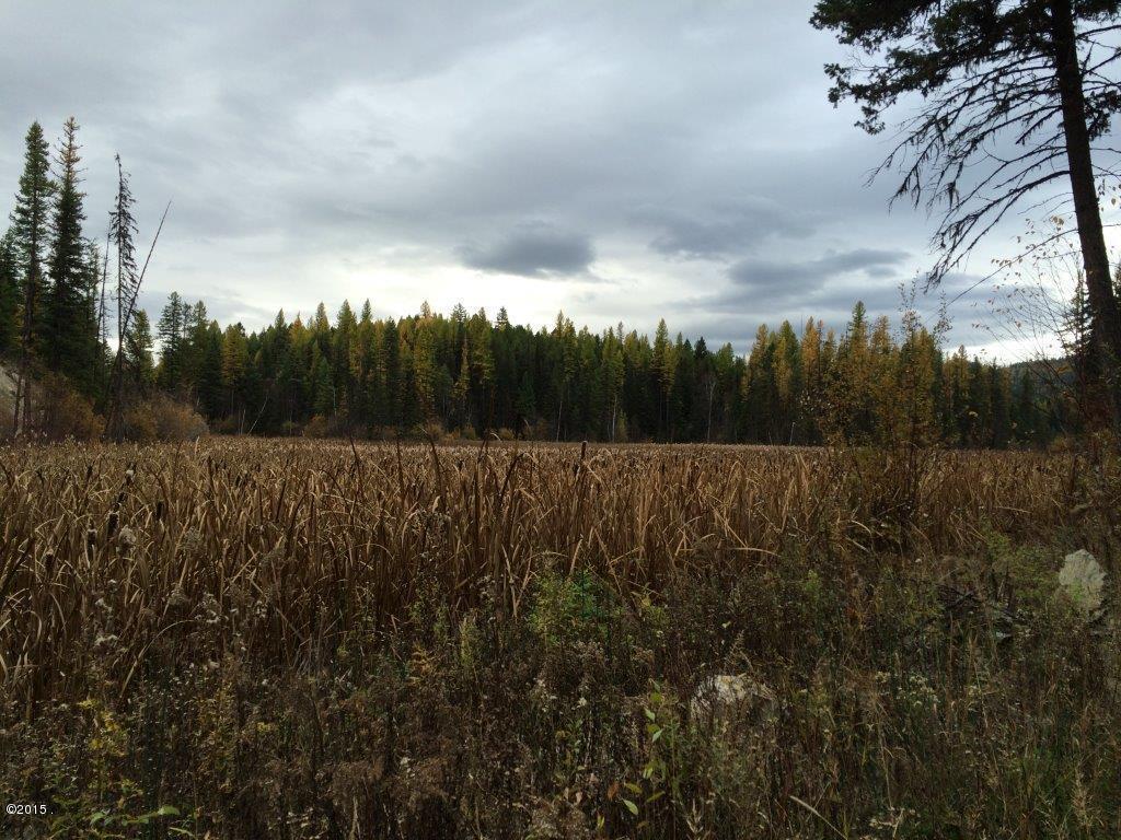 580 Bootjack Lake Road, Whitefish, MT 59937