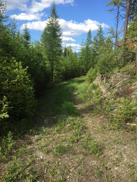 580 Bootjack Lake Road, Whitefish, MT 59937