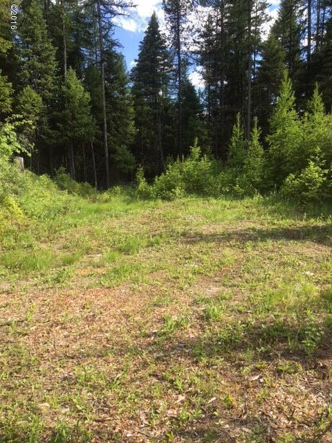 580 Bootjack Lake Road, Whitefish, MT 59937