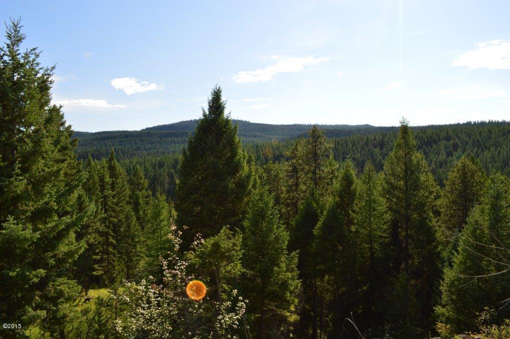 580 Bootjack Lake Road, Whitefish, MT 59937