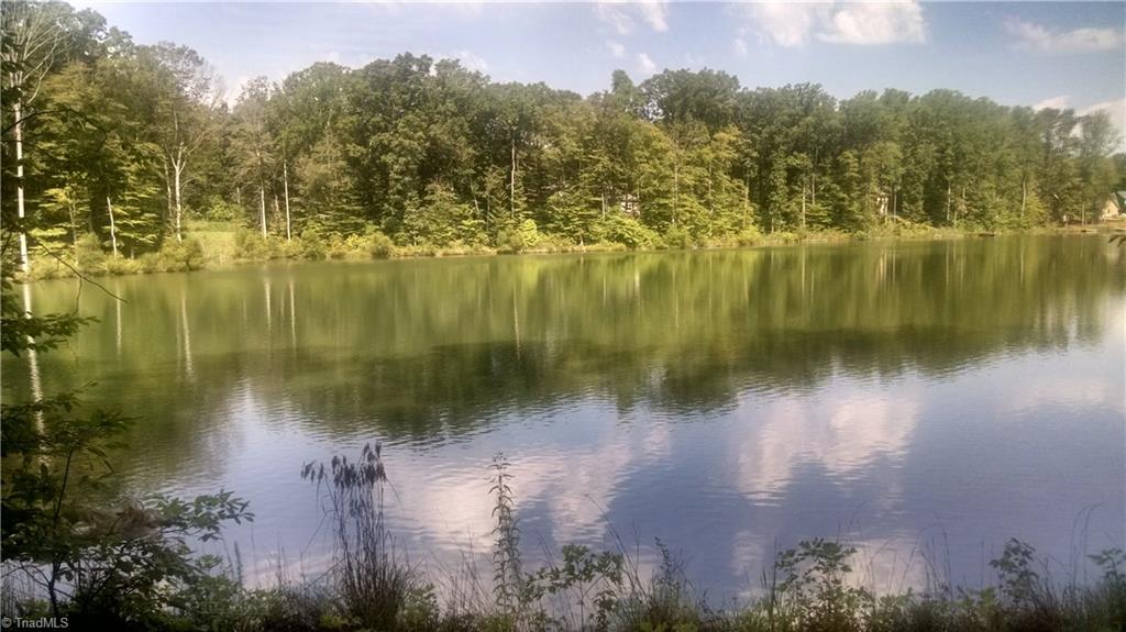 584 Lissara Lodge Drive, Lewisville, NC 27023