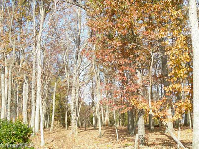 175 W Harbor, Lexington, NC 27292