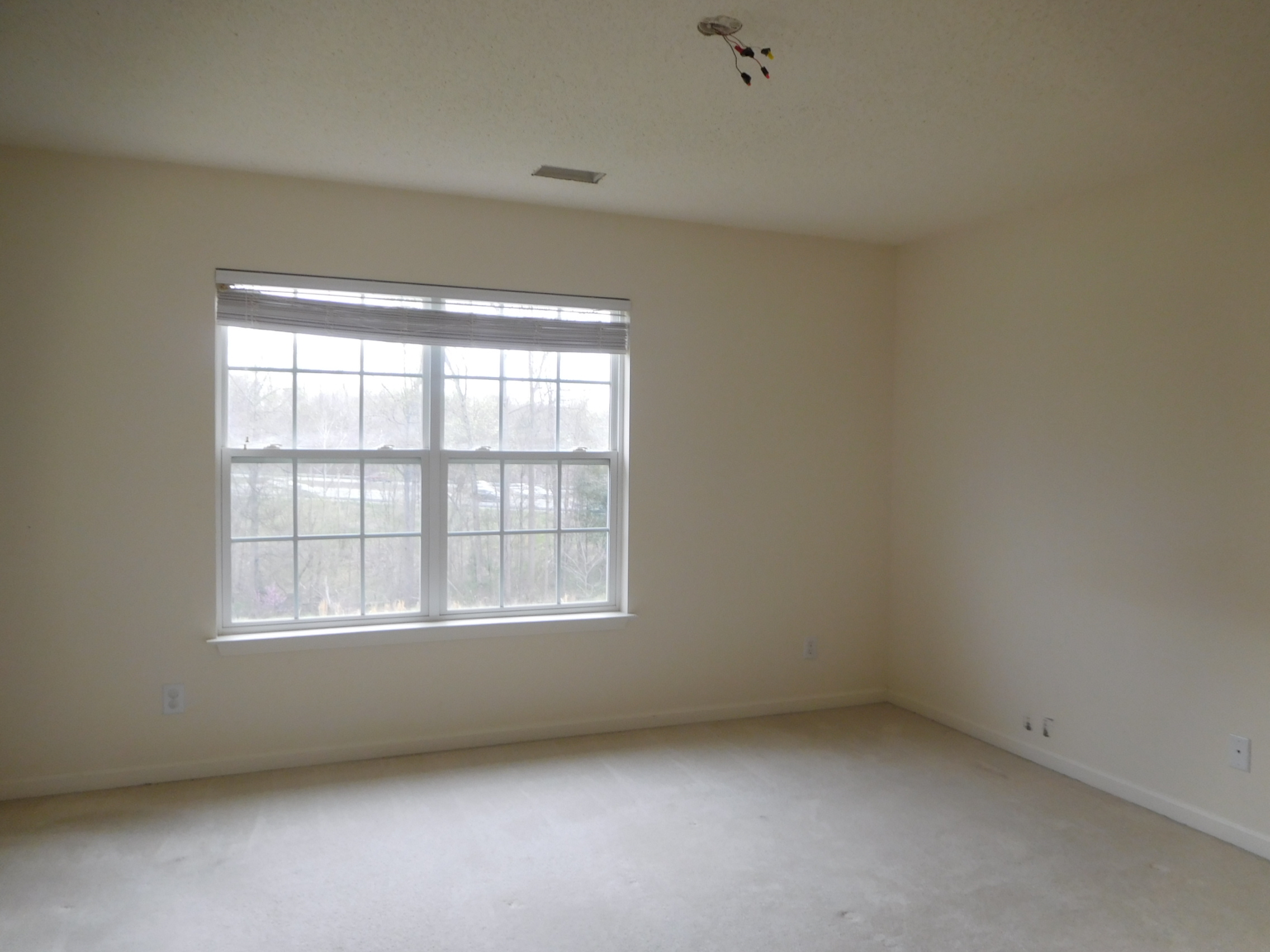 1232 Glory Vine RdWhitsett, NC, 27377Guilford County