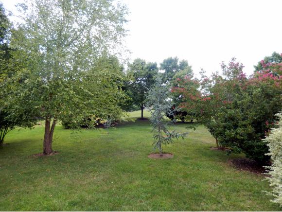 6394CLUBSIDE DR, Whitsett, NC 27377