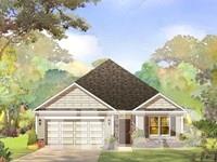 8716 Coyote Melon Drive, Angier, NC 27501