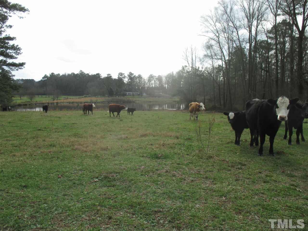 Spring Hill Church Road, Lillington, NC 27546
