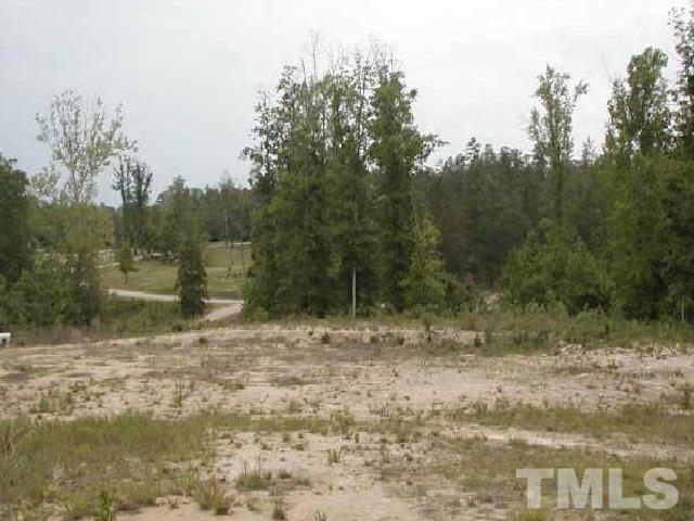 5108 Deep Cedar Drive, Wendell, NC 27591