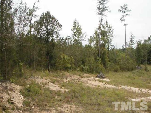 5108 Deep Cedar Drive, Wendell, NC 27591