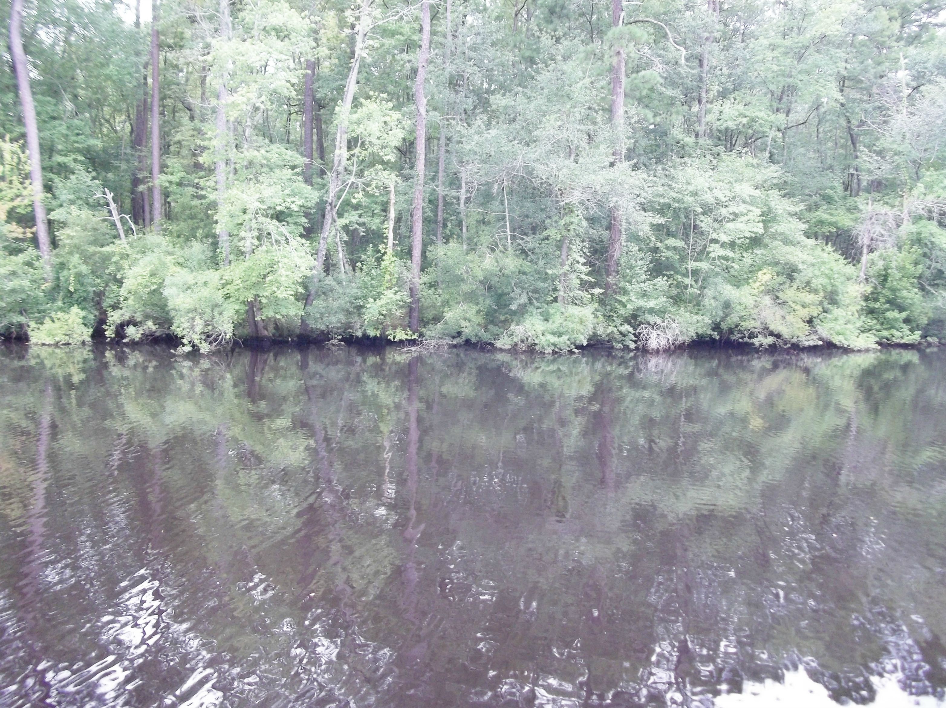 223 Shad Bend Drive, Washington, United States 27889
