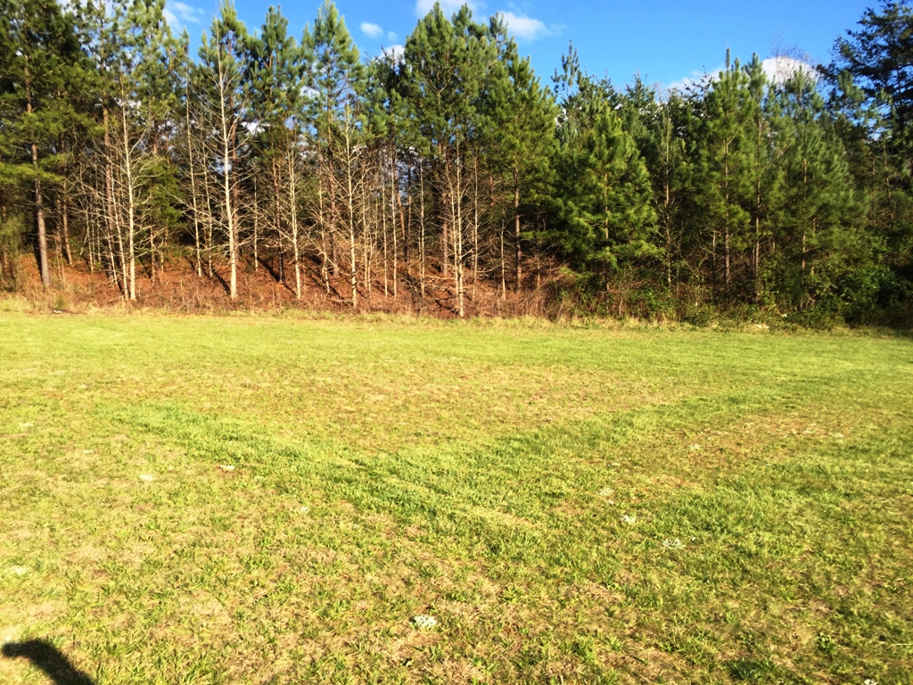 159 Pheasant LaneRockwell, NC, 28138Rowan County