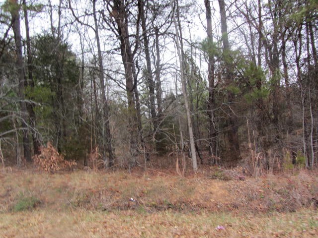 0 US 221S, Rutherfordton, NC 28139