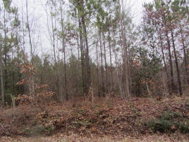 0 US 221S, Rutherfordton, NC 28139